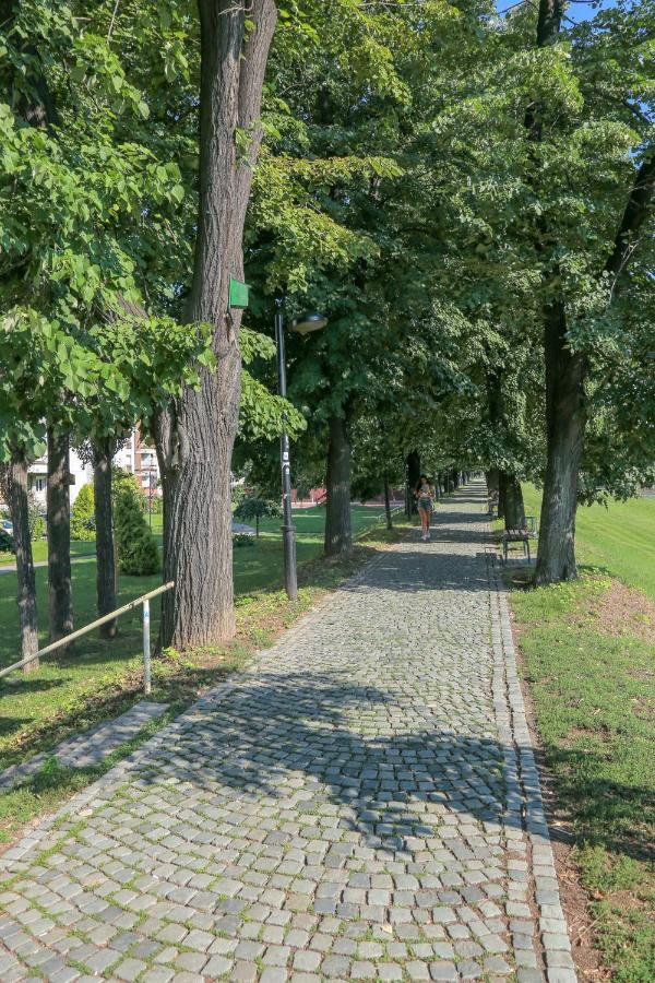 Apartmán Apartman Marija Pirot Exteriér fotografie